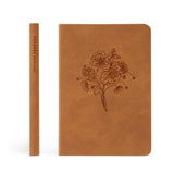 Amelia Revival Notebook