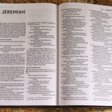 NIV Value Thinline Bible Large Print