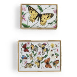 Glass and Brass Photo Box