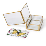 Glass and Brass Photo Box