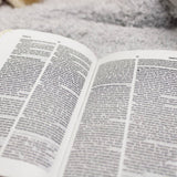 NIV Tiny Testament Bible New Testament Leathersoft Blue