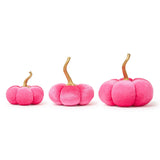 Candy Coated Pumpkins