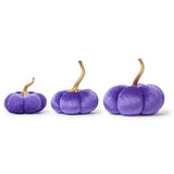 Candy Coated Pumpkins