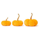 Candy Coated Pumpkins