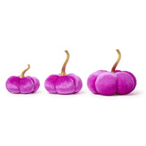 Candy Coated Pumpkins
