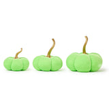 Candy Coated Pumpkins