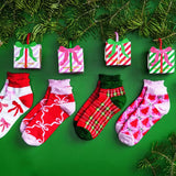 Holiday Socks in Box
