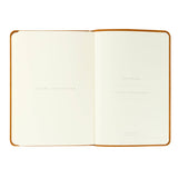 Amelia Revival Notebook