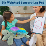 Sunny the Weighted Sensory Turtle