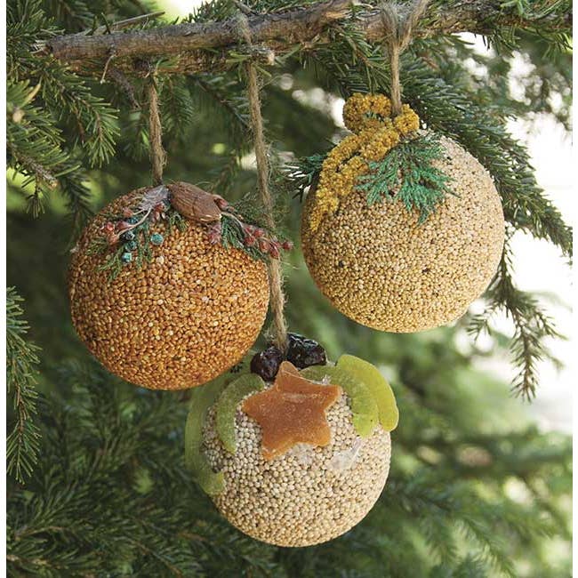 Birdseed Fruit Basket