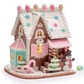 Clay Dough Gingerbread House