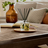 Frasier Fir Petite Pine Needle Reed Diffuser