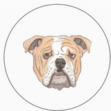 Bulldog Gameday Pins