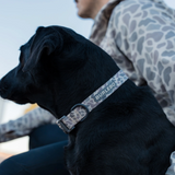 Burlebo Dog Collar