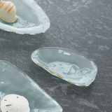 Shells Coquina