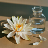 Water Lily Pura Refil