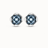 Charismatic Earrings