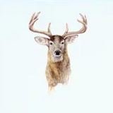 Deer Square Desk Set