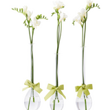 Tear Drop Vase