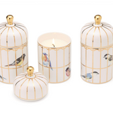 Gilded Cage Candle
