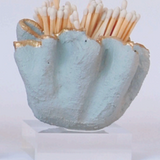 Ruffle Match Striker & Match Set