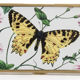 Glass and Brass Photo Box
