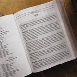 ESV The Jesus Bible Leathersoft Over Board