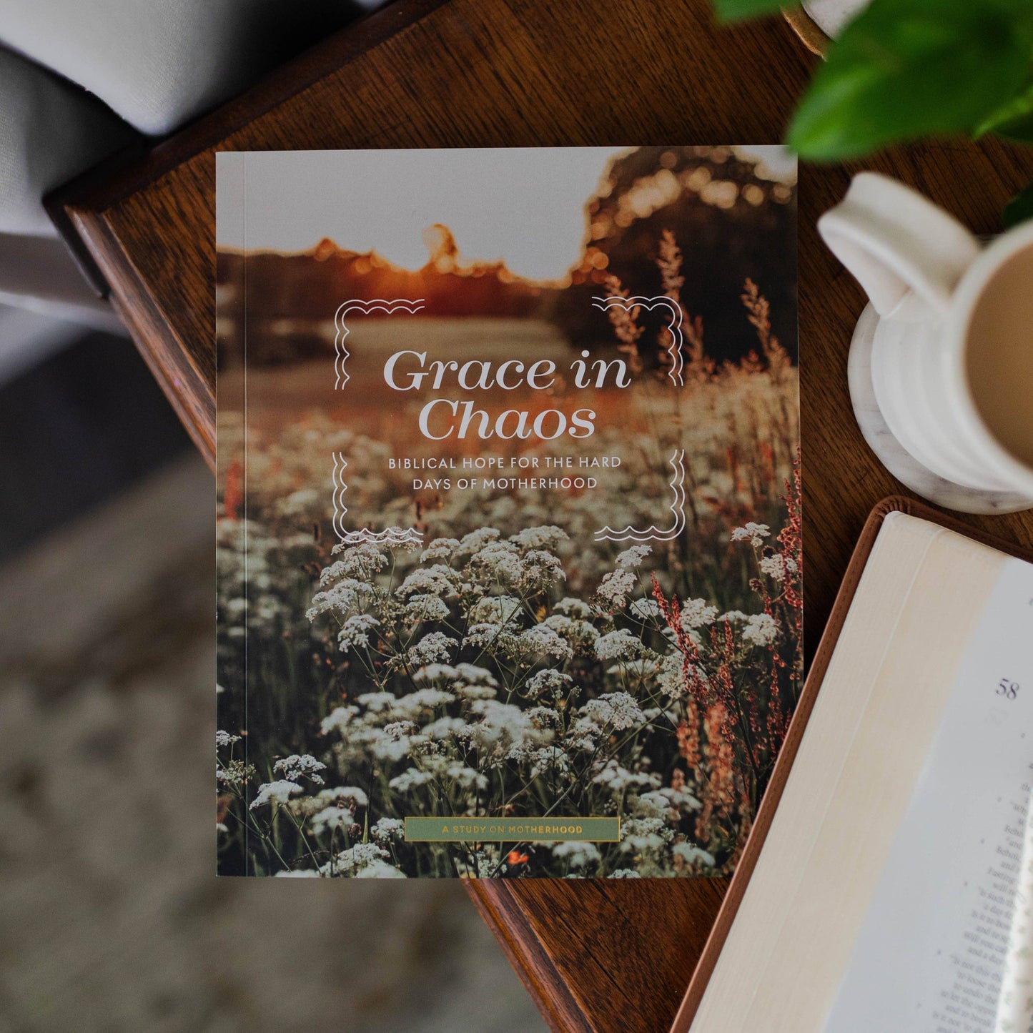 Grace in Chaos | Biblical Hope for the Hard Days of Motherhood