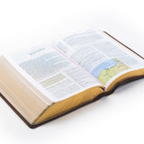 ESV Aurora Study Bible