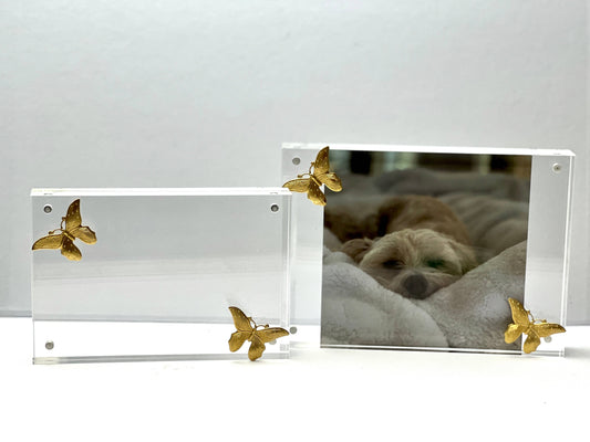 Acrylic frames: 5x7 / Fleur De Lis