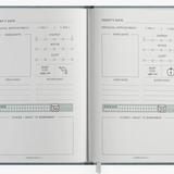 The Pregnancy Journal